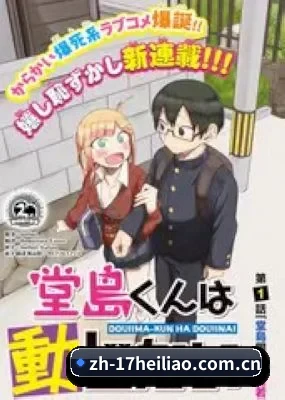 功能完善